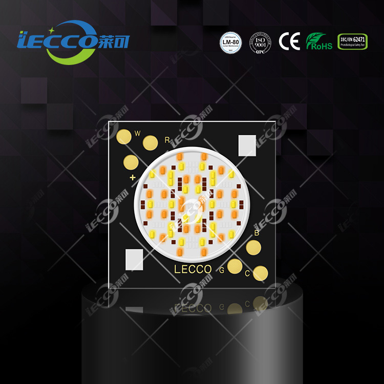 LK1507RGBCW-10W0604ح㉺24V
